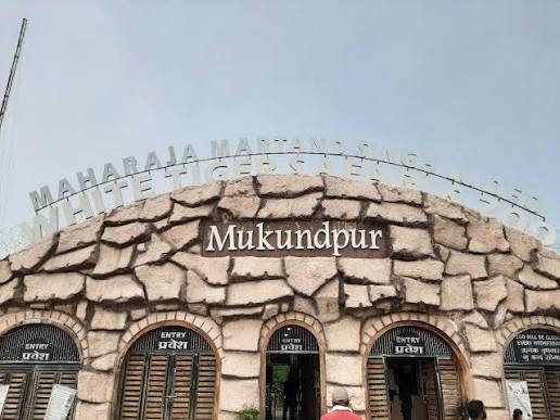 White Tiger Safari Mukundpur